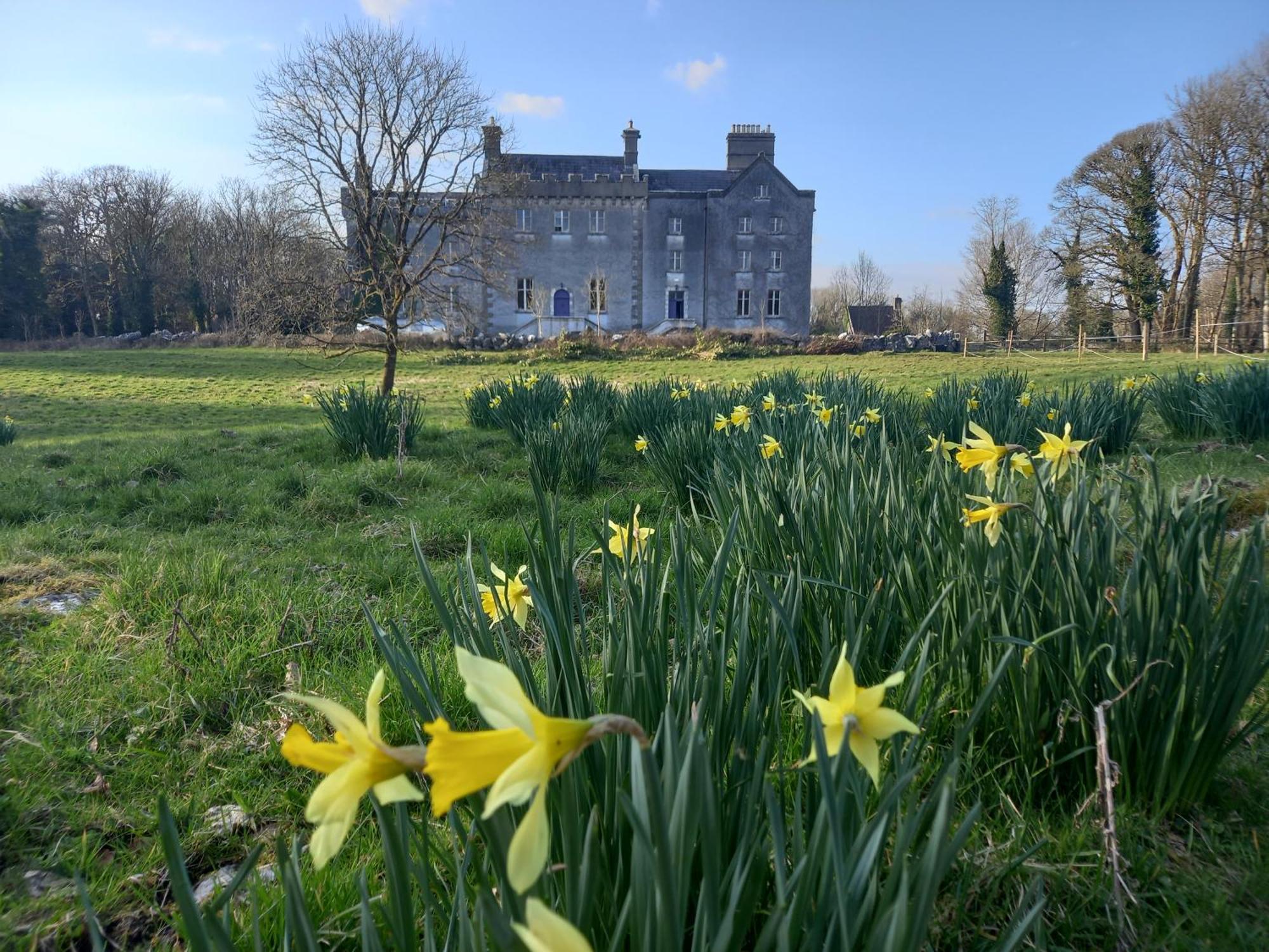 Cregg Castle Pensionat Galway Eksteriør billede